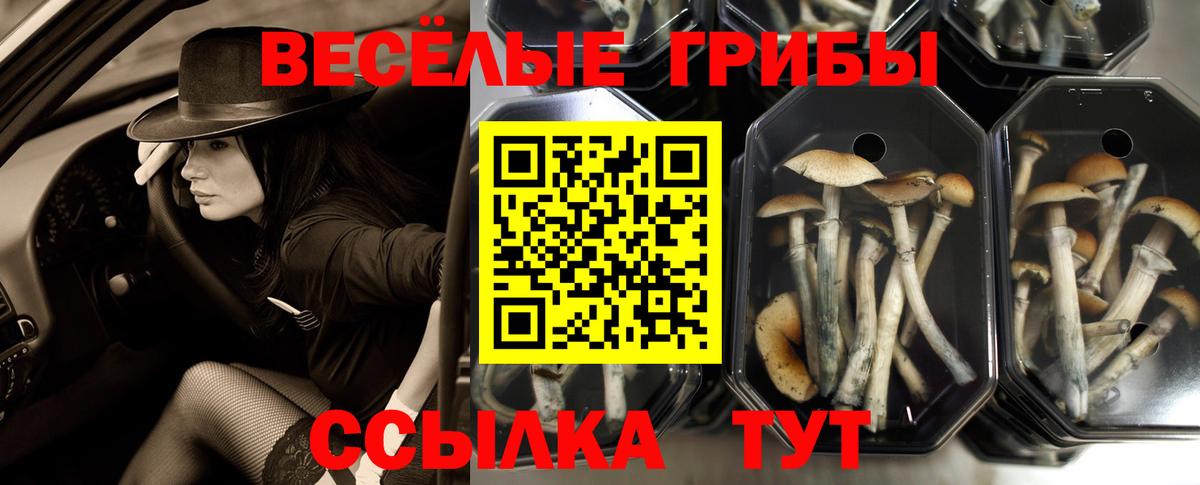 Галлюциногенные грибы Cubensis Иркутск